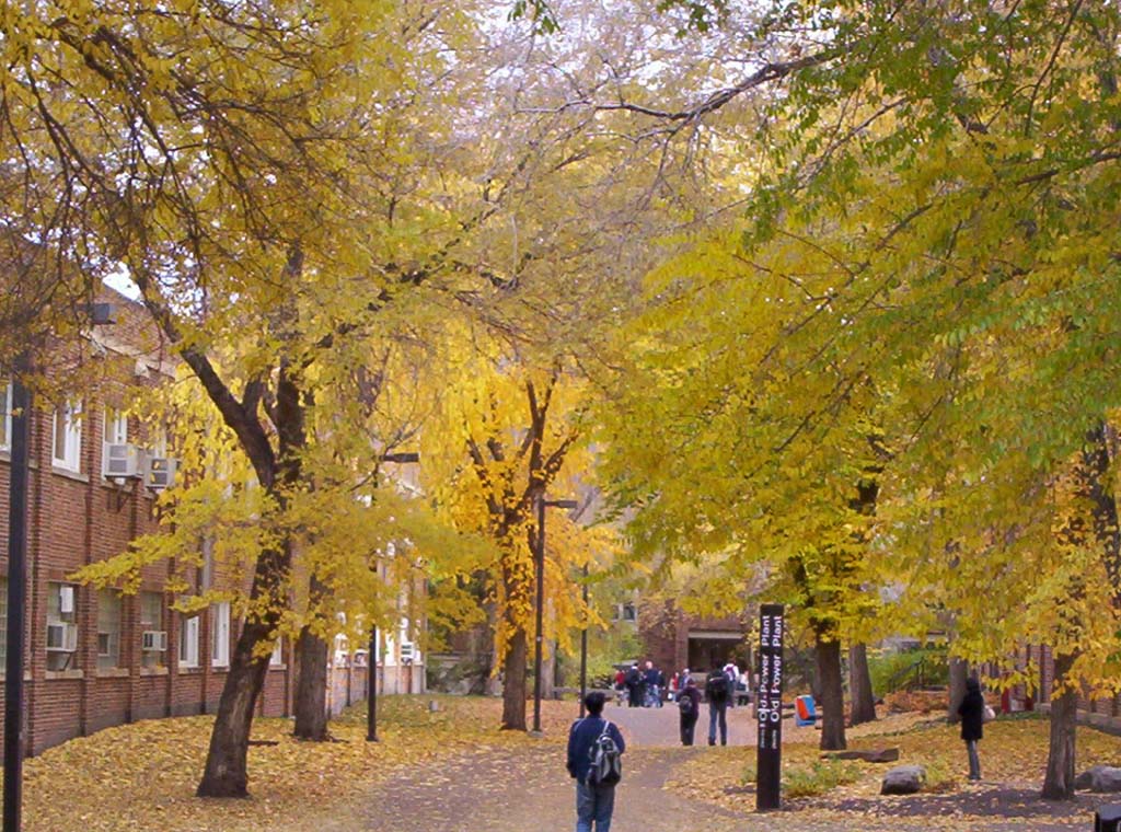 000_0149.jpg