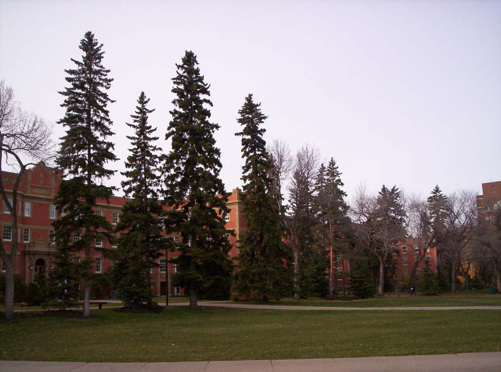 000_0151.jpg