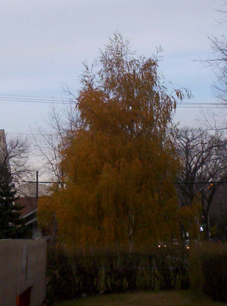000_0167.jpg