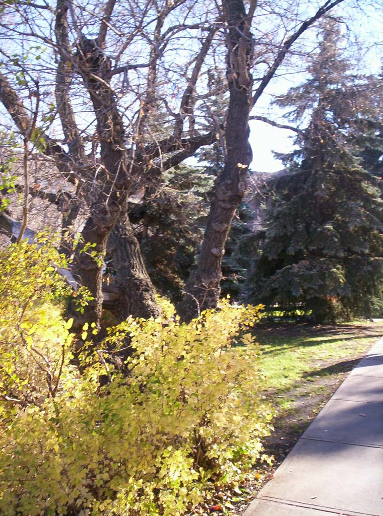 000_0254.jpg