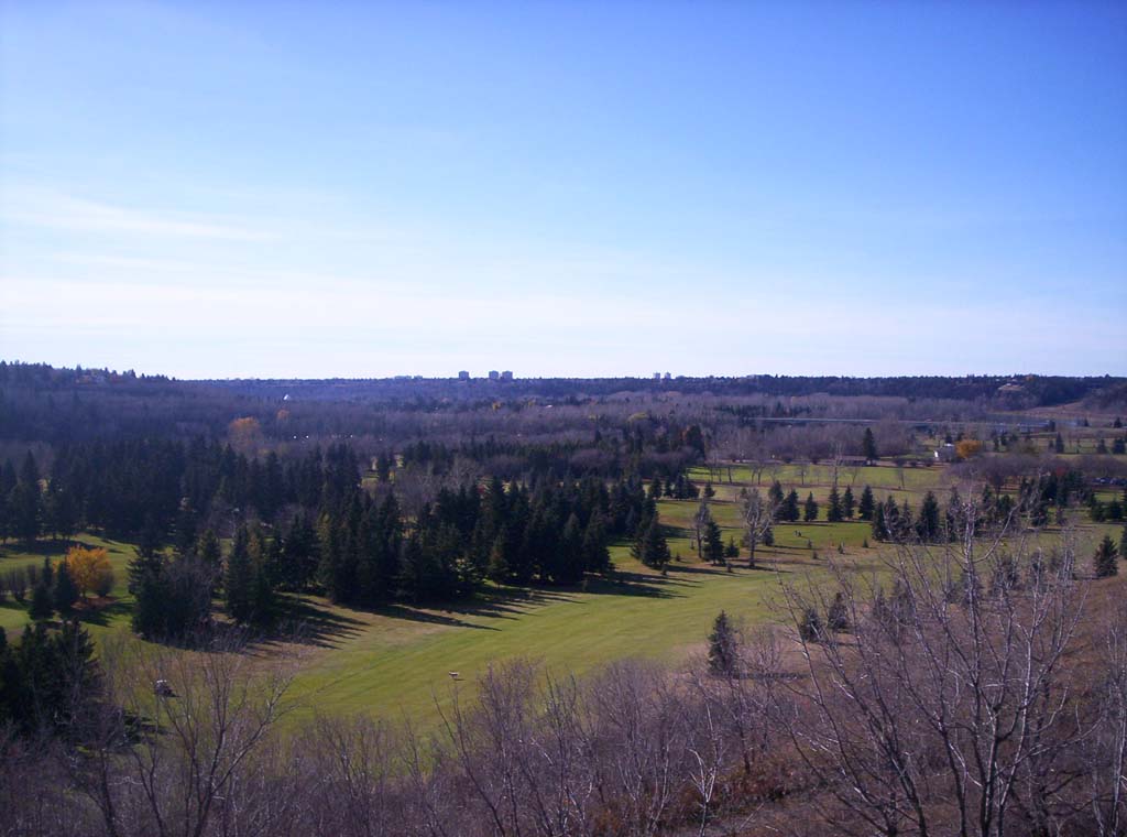 000_0290.jpg