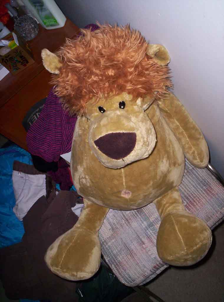 000_0296.jpg