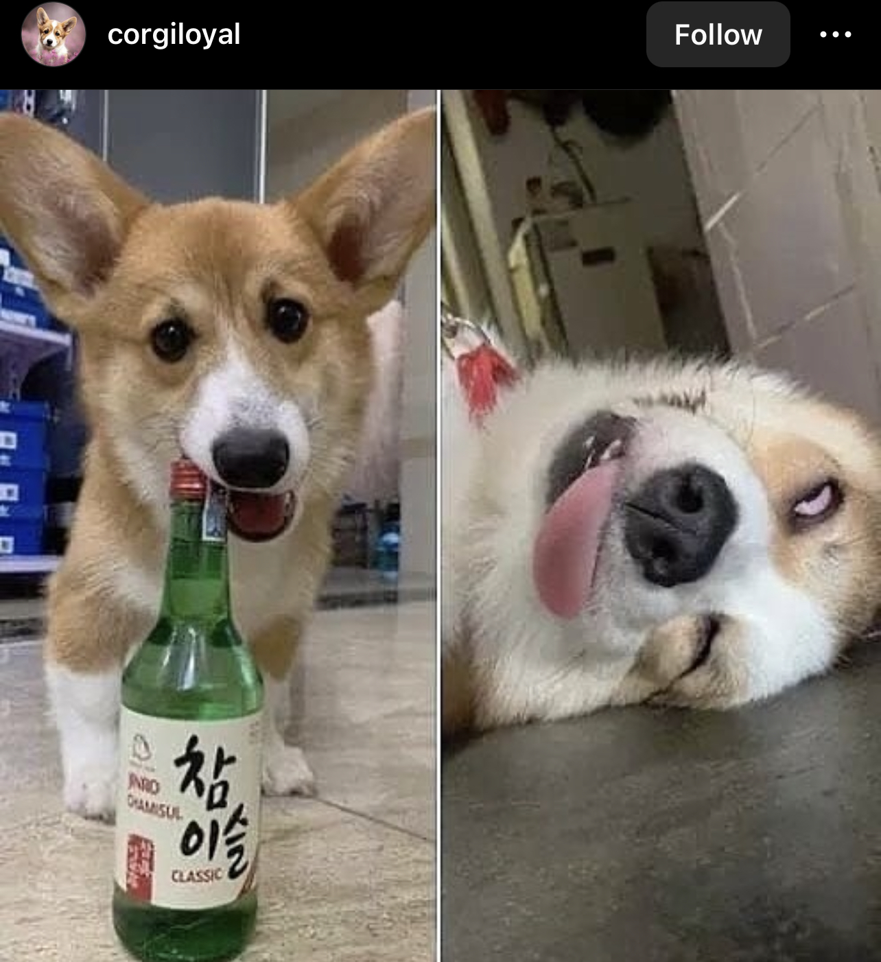 0A4E0E06-4523-49F9-A40E-2CA8D76A2D75.jpeg
