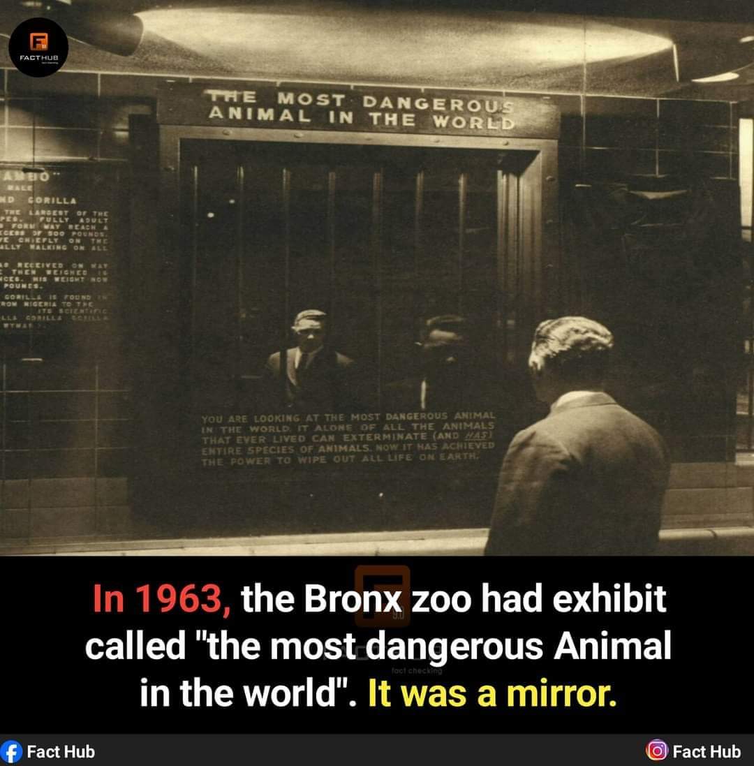 1000001159.jpg