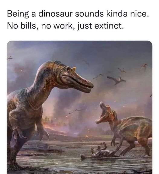 1000001247.jpg