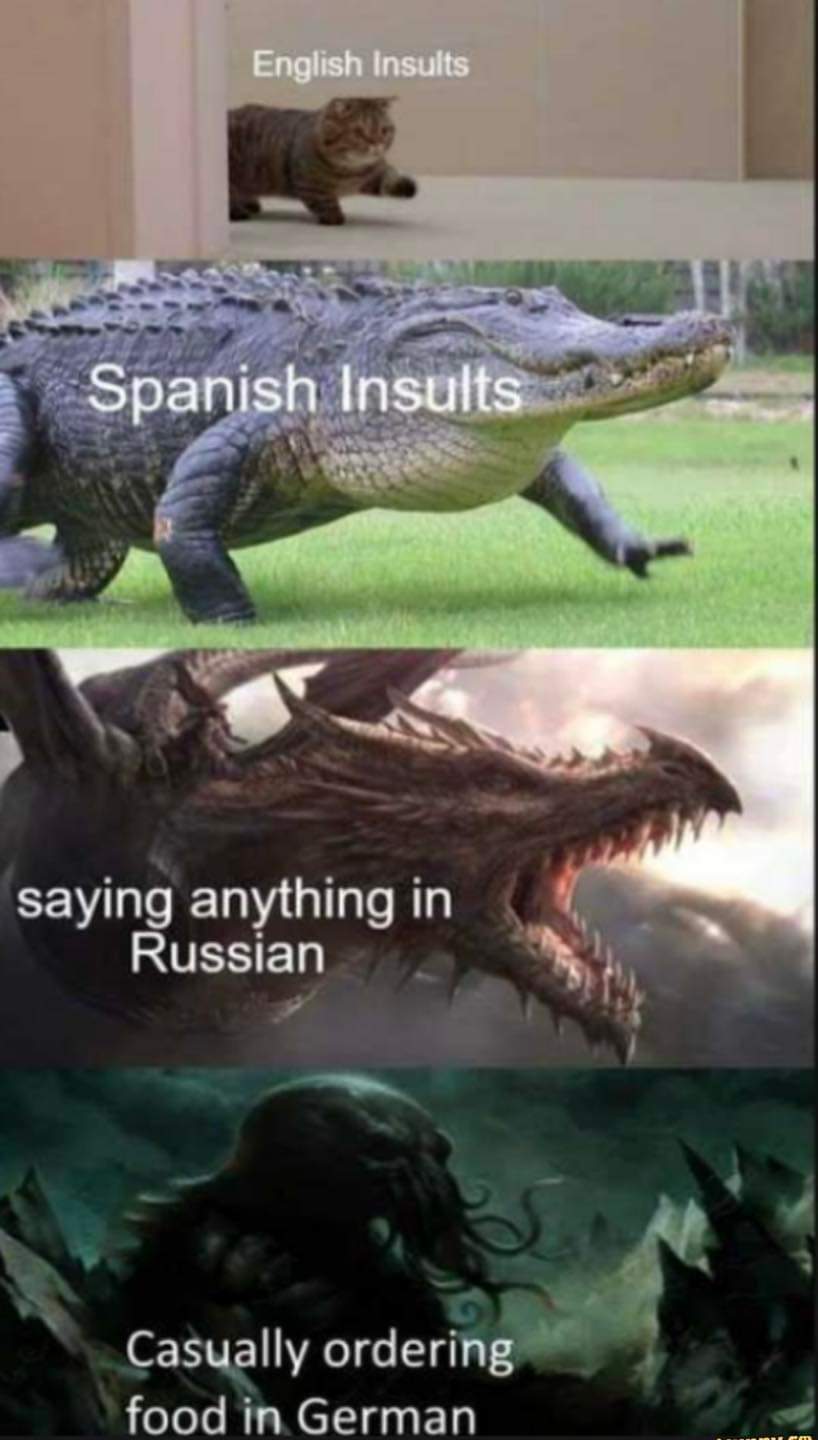 1000003798.jpg
