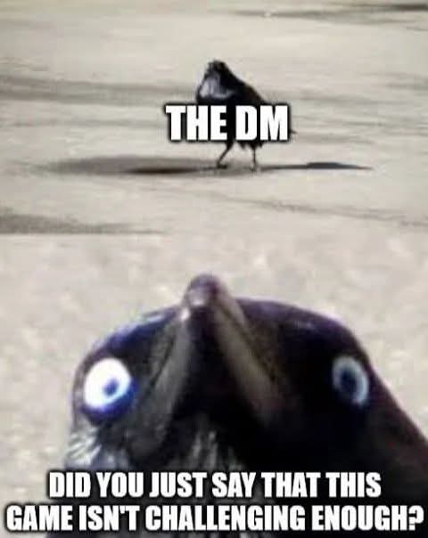 1000007108.jpg