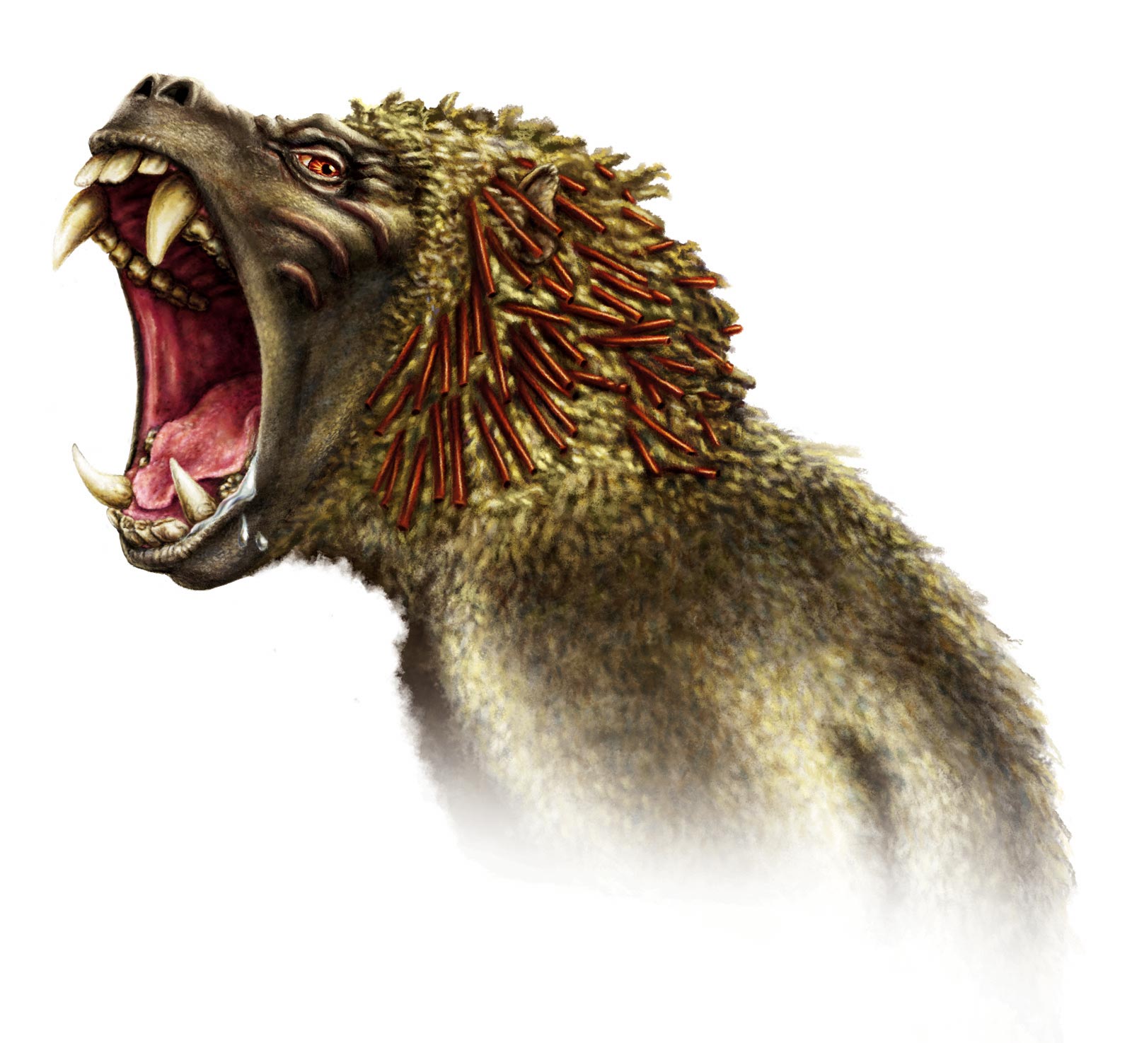 120PM_Baboon.jpg