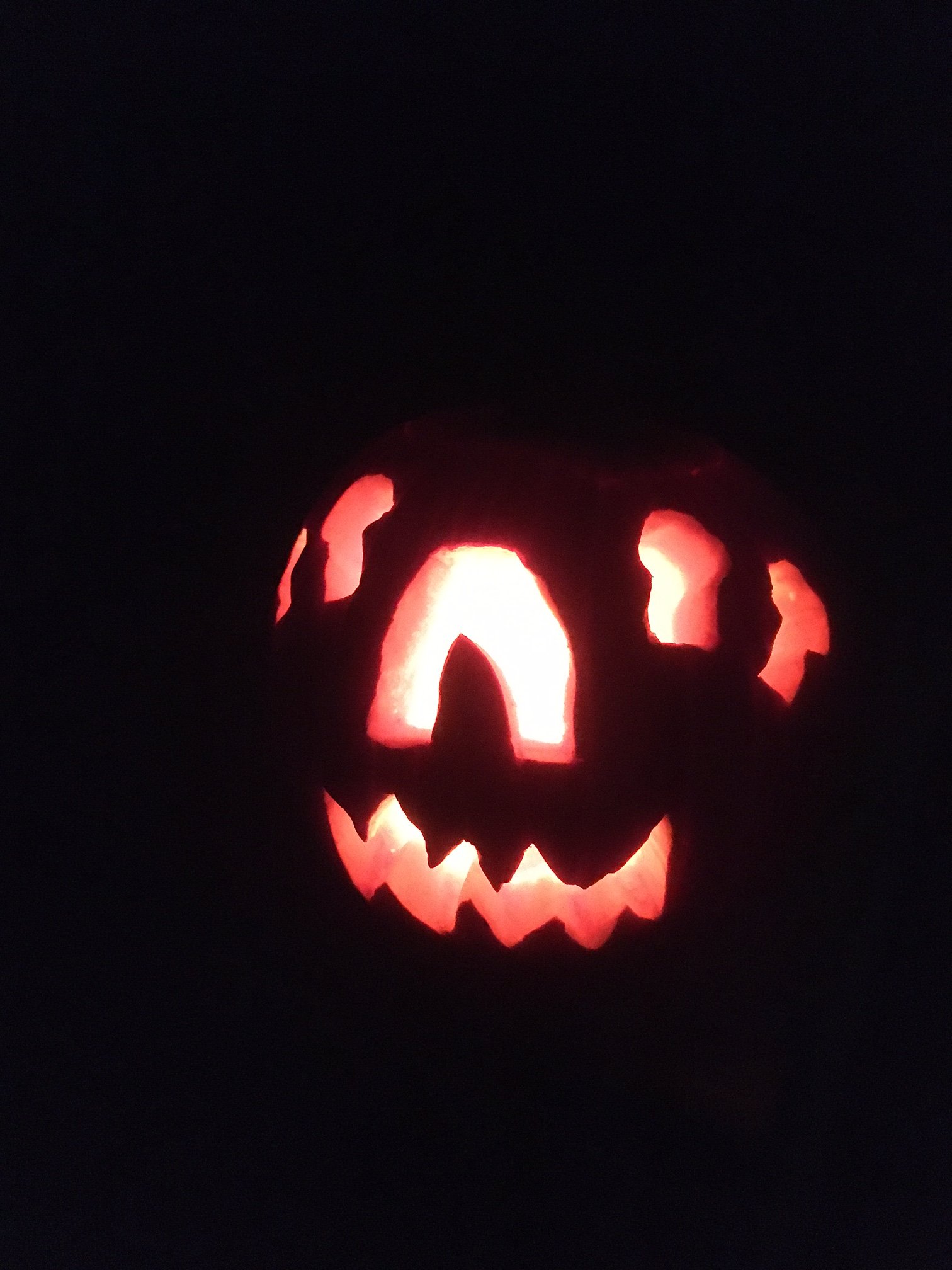 1633117141782.jpeg