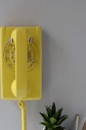 1642894024264.png