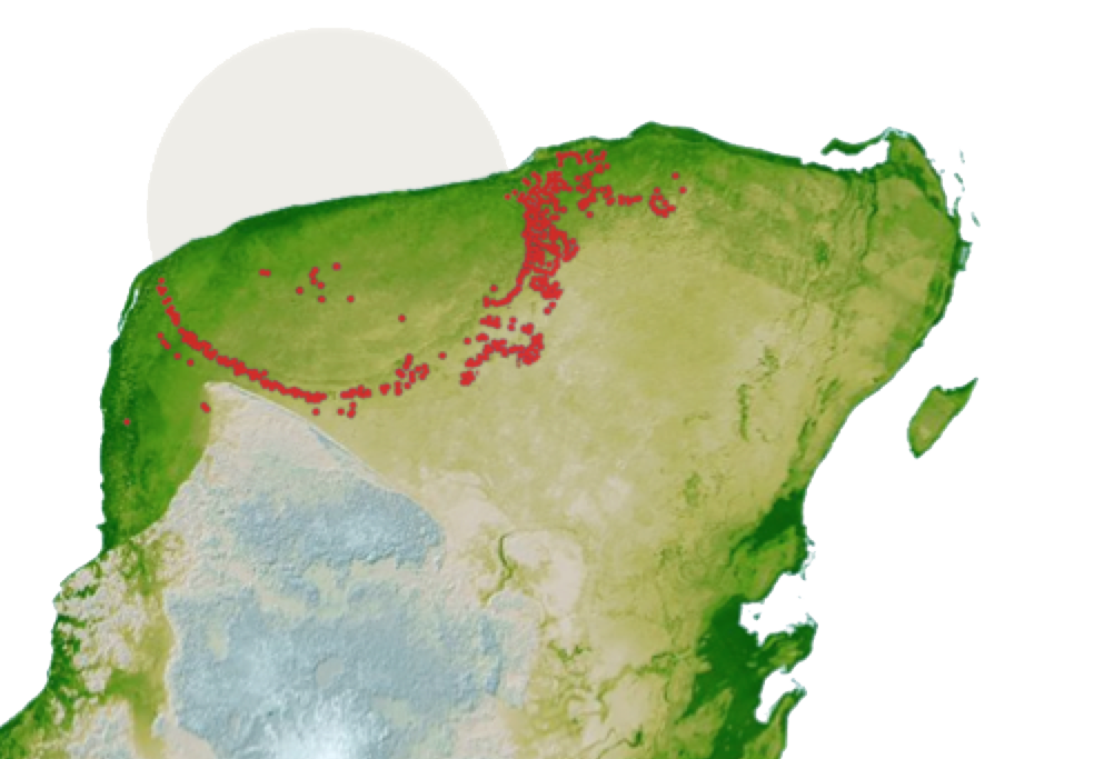 1648236560480.png