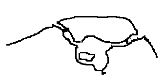 1676778206472.png
