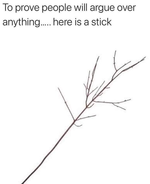1697648361397.png