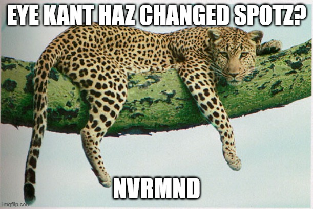 1703088320320.png