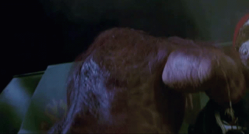 1725684479309.gif