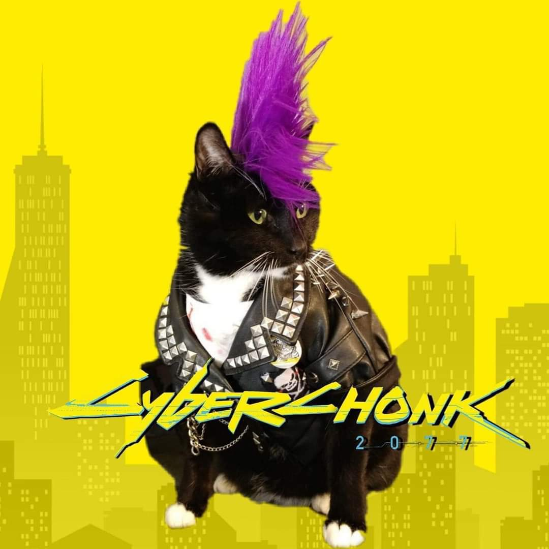 1735778783282.png