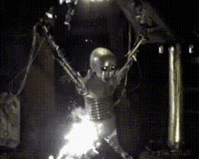 1748288439367.gif
