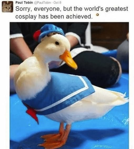 1751197928498.png