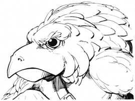 2. Aarakocra 1981 - Fiend Folio A.png