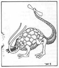 200px-Rust_monster.JPG