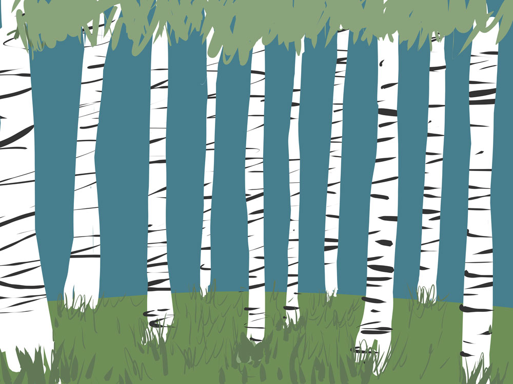 2012-9-Birch.jpg