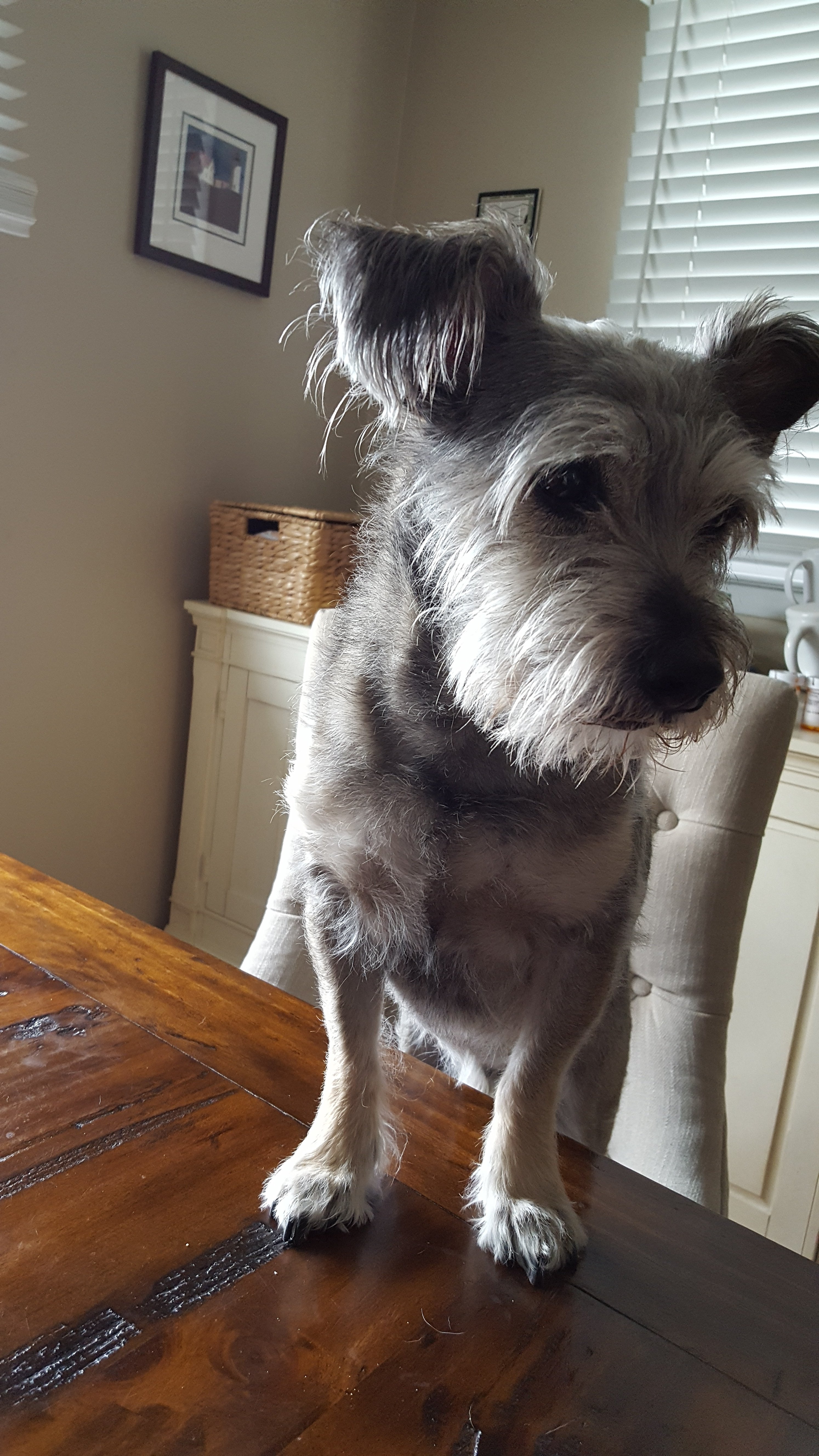 20190415_154724.jpg