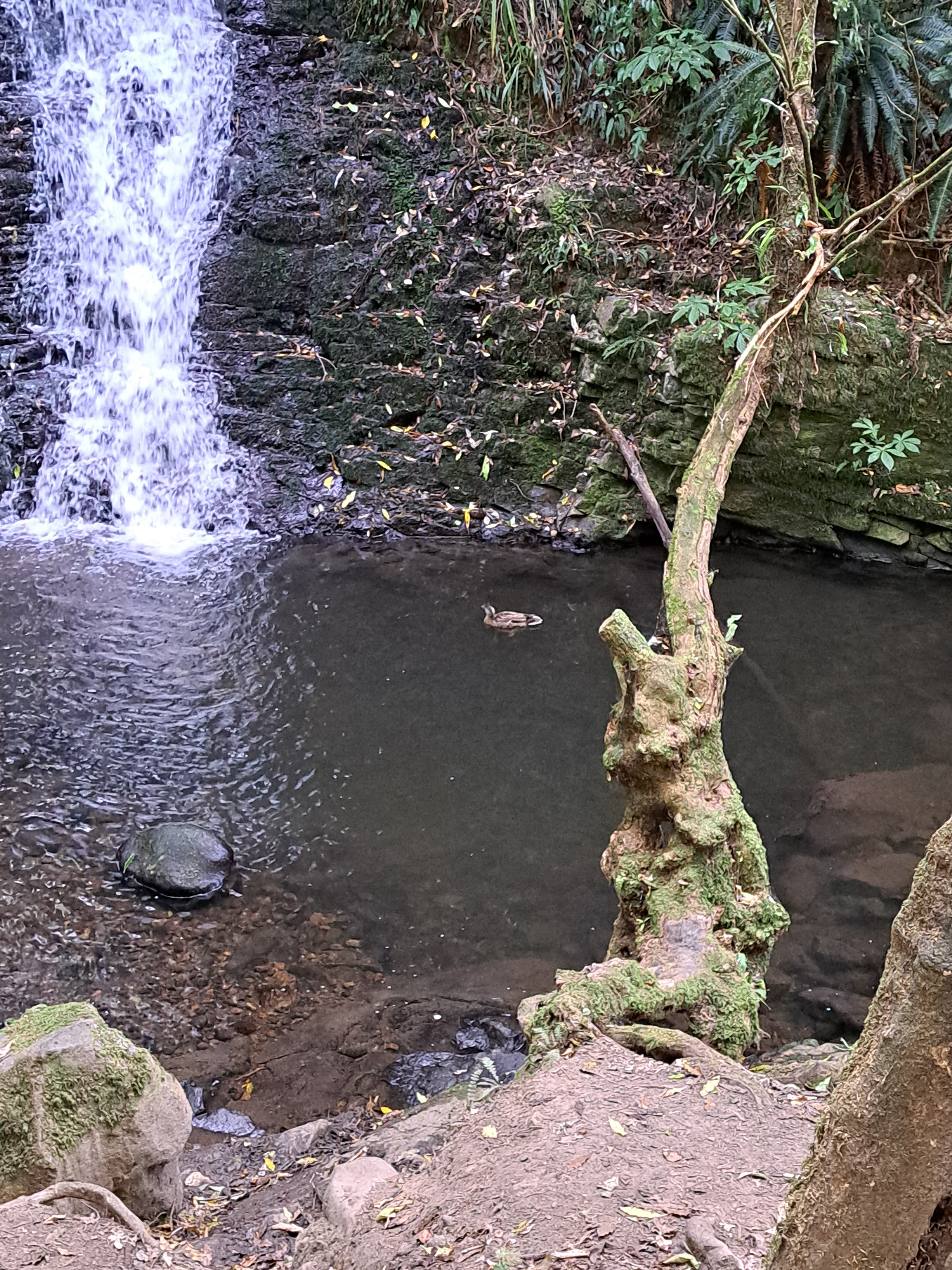 20230218_092831.jpg
