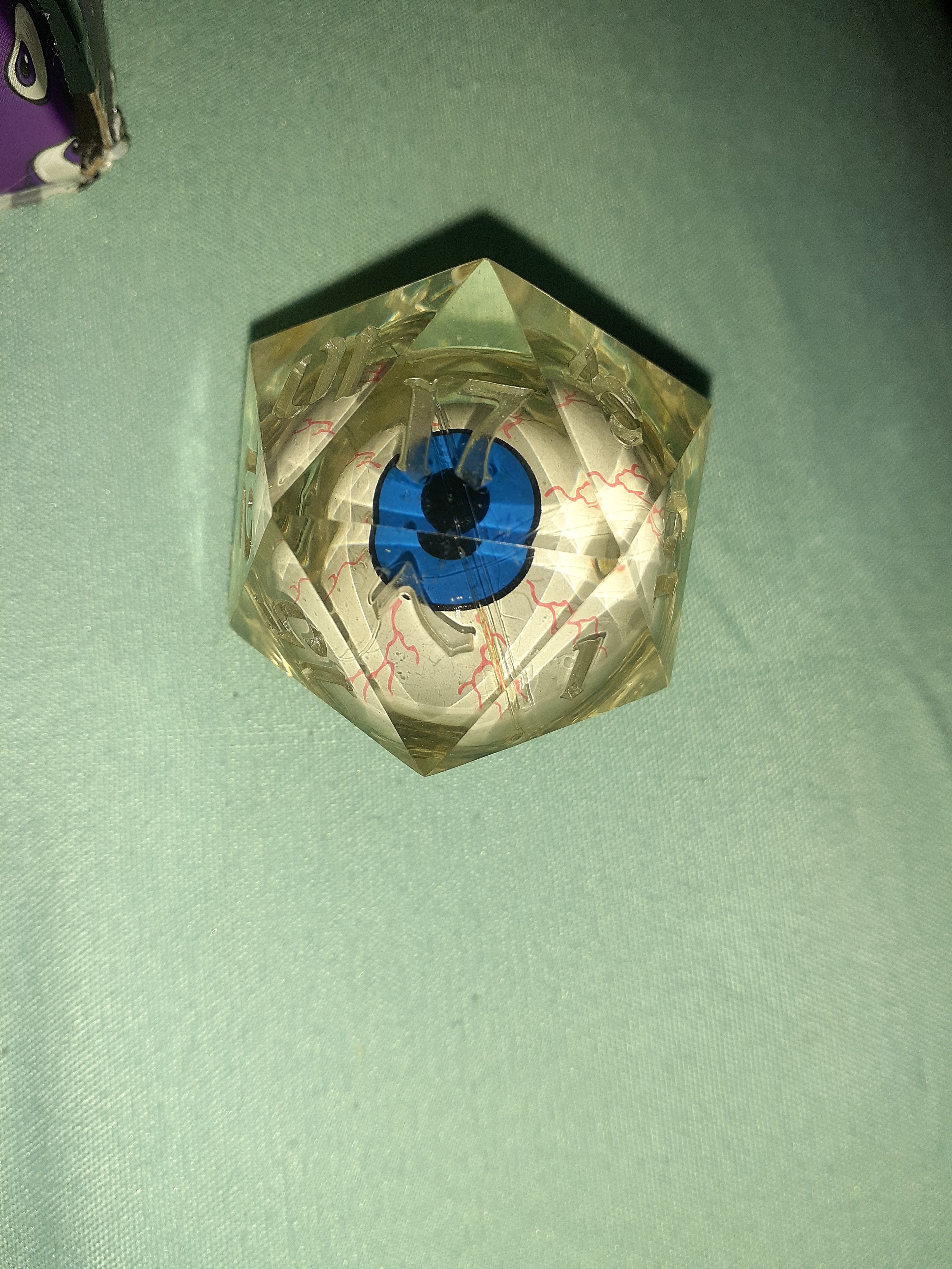 20240824_073524.jpg