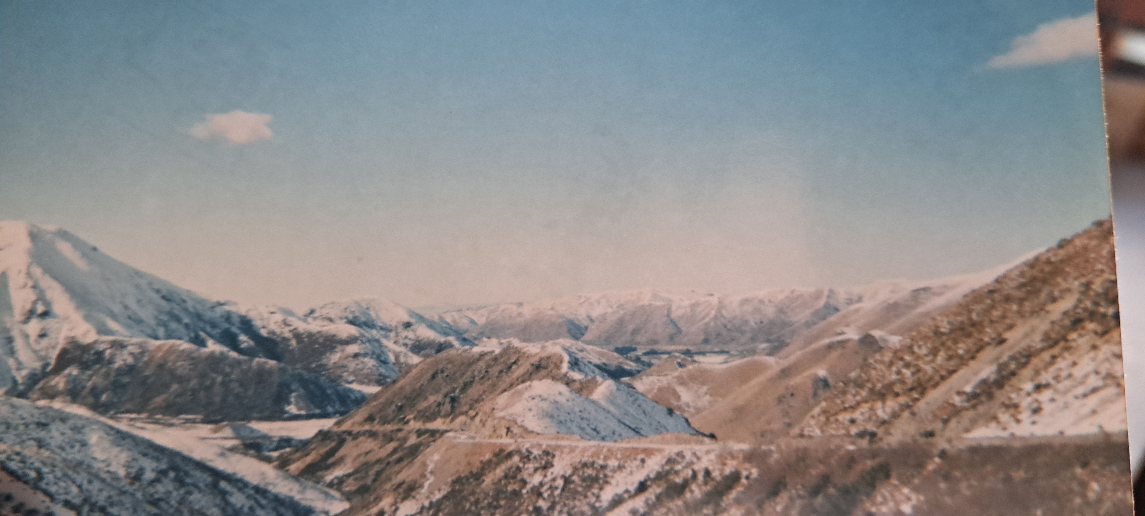 20250326_155936.jpg