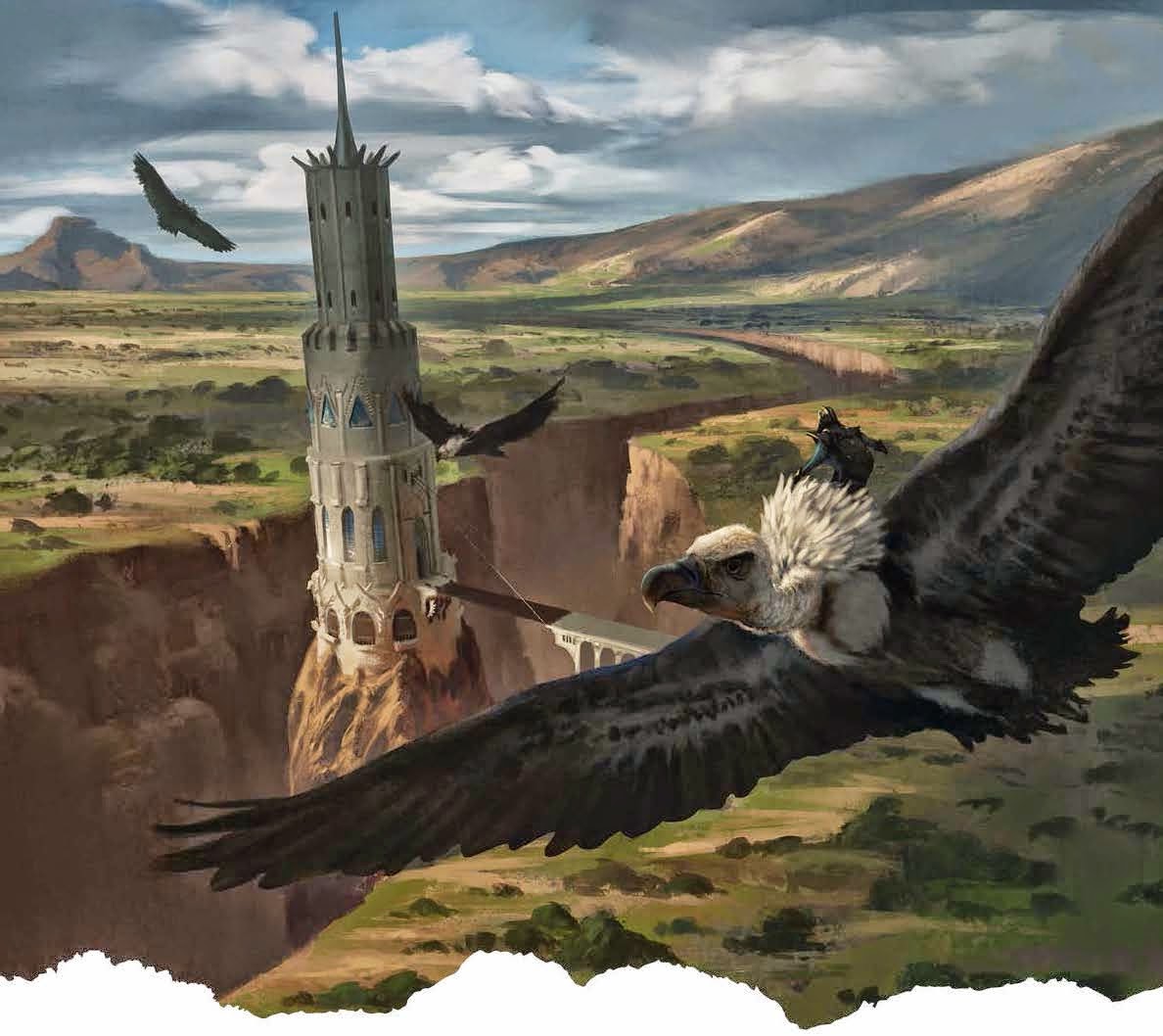 204feather.jpg