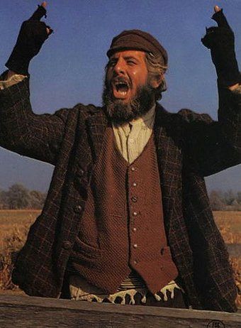 23d81a3c3b066e3510ffca4a5093bee7--fiddler-on-the-roof-on-the-roofs.jpg