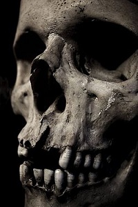 250px-Skullclose_zpse1b1bddd.jpg