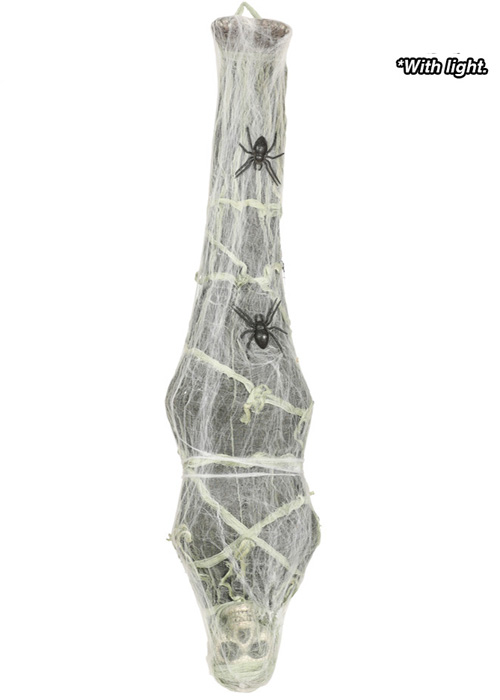 26021-spider-skeleton.jpg
