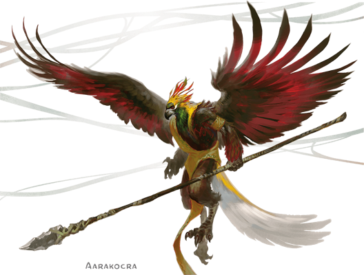 28. Aarakocra 2017 - Tomb of Annihilation A.png