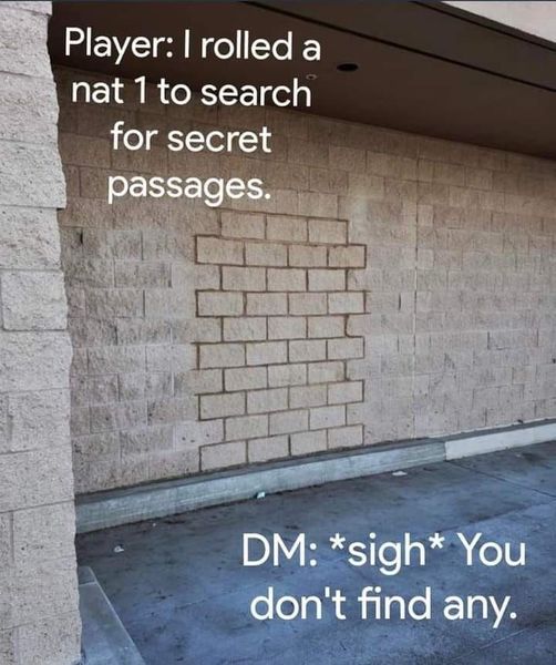 321348130_508757441351074_2620589733684651399_n.jpg