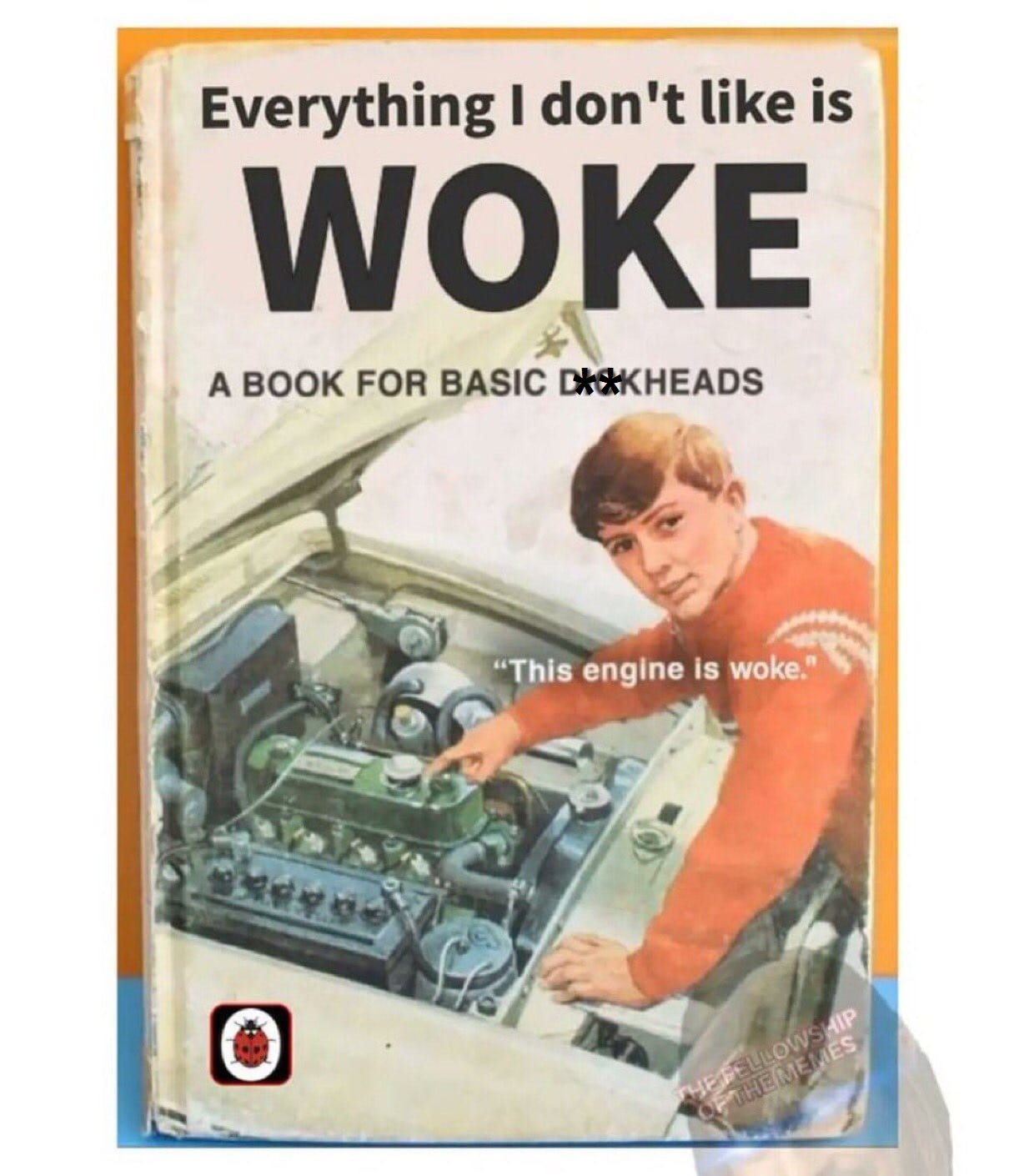 335393386_596142342137022_8377542695463490699_n.jpg