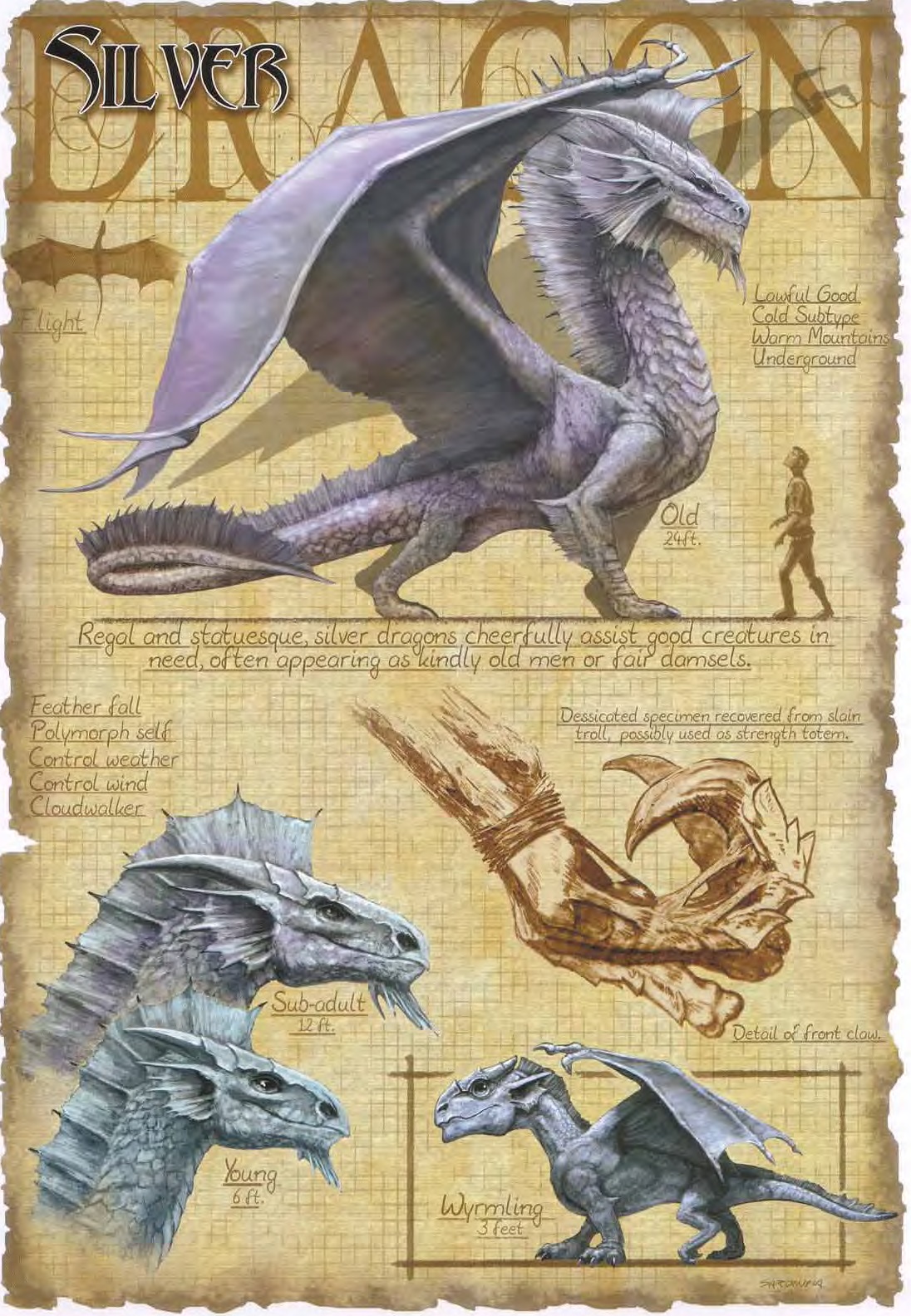 3E Silver Dragon ages.jpg
