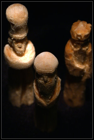 3kings.jpg