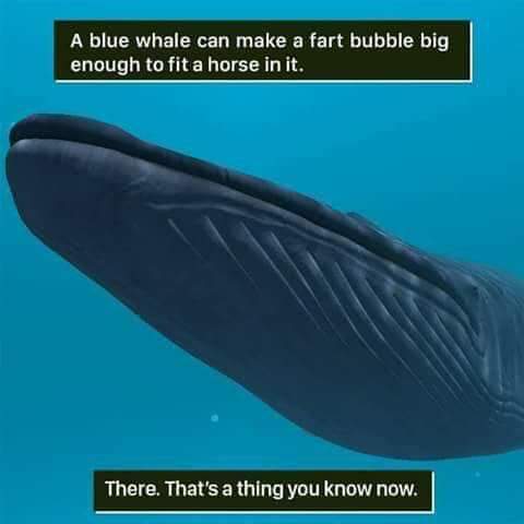 540743006_1191983149633947_4791916038051898169_n.jpg