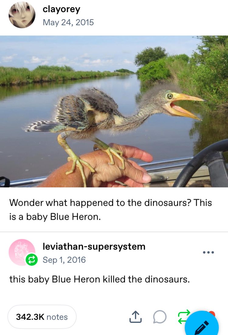 541509042_1198297895666345_2216463445609697603_n.jpg