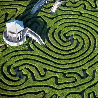555197_521542394533216_842206287_n.jpg