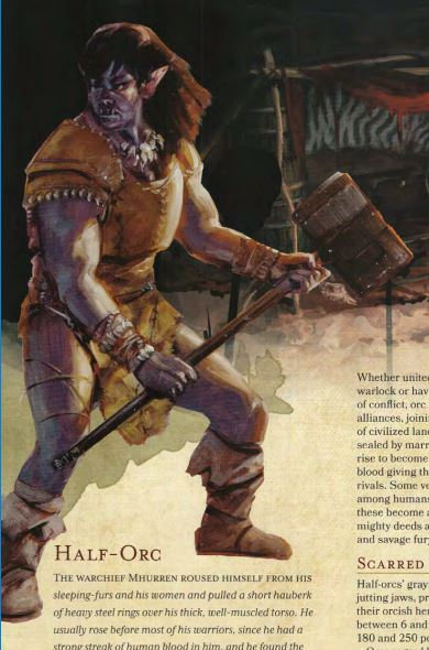 5e_HalfOrc.JPG