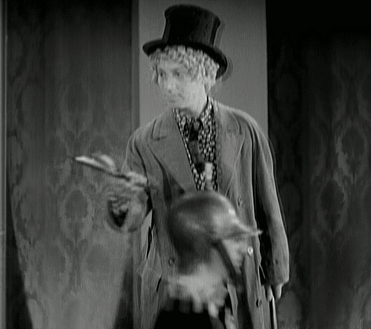 6536BA8B-C2C6-486D-9EB4-1B1E5A38274D.gif