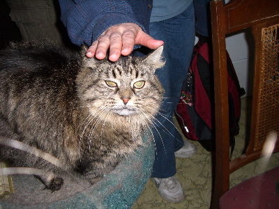 7 Hosts Kitty.jpg