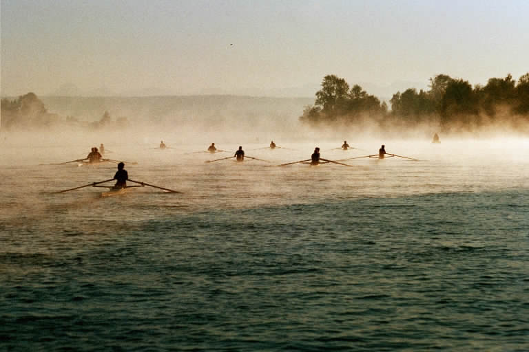 93826_17.jpg