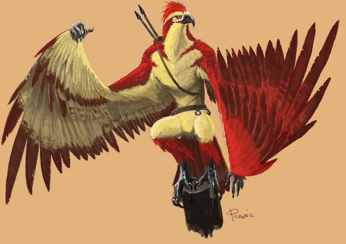 aarakocra concept final.jpg