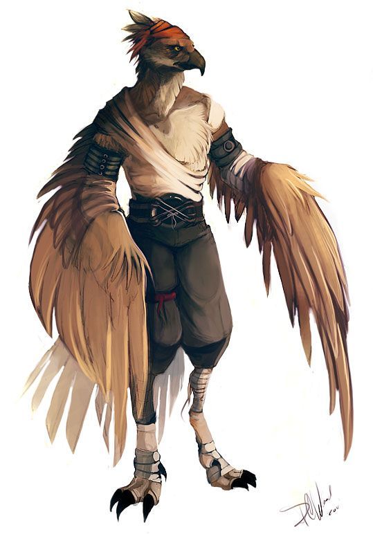 aarakocra.jpg