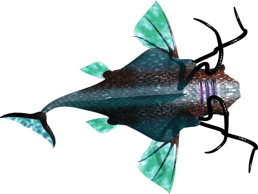 aboleth-top.png