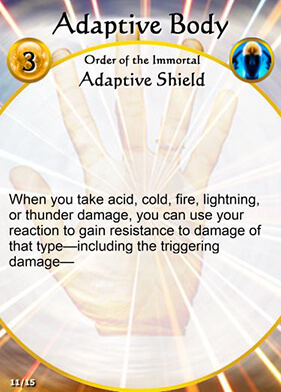 Adaptive Body1.jpg