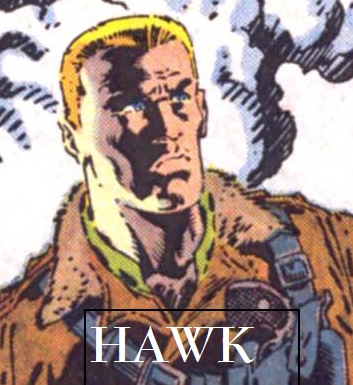 AHawk.jpg